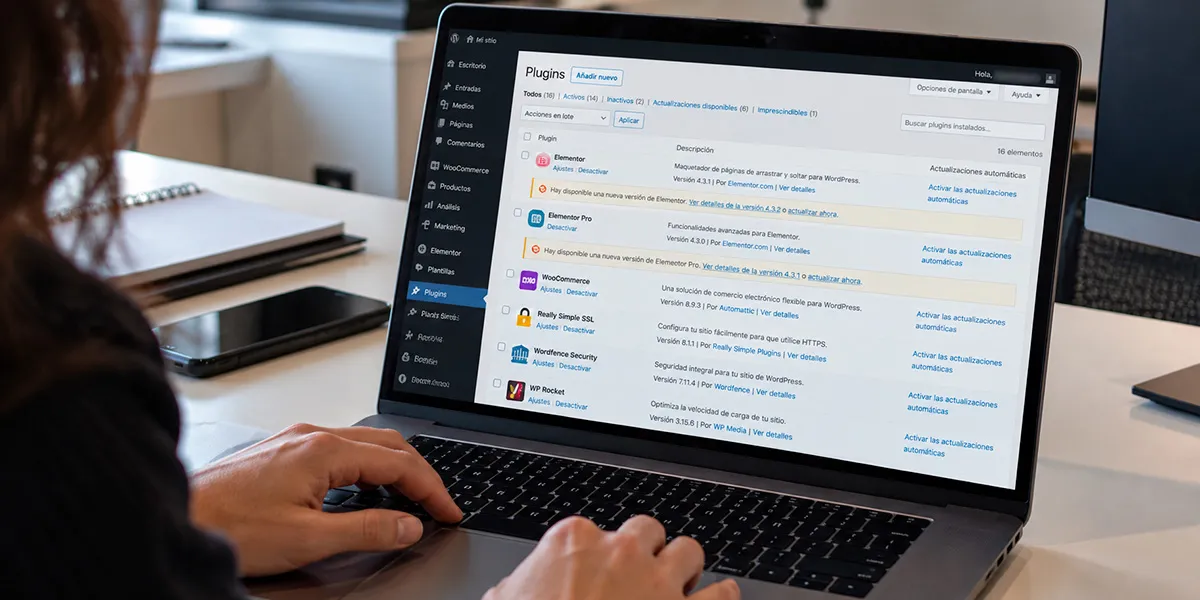 Revisión de plugins y seguridad en una página web WordPress
